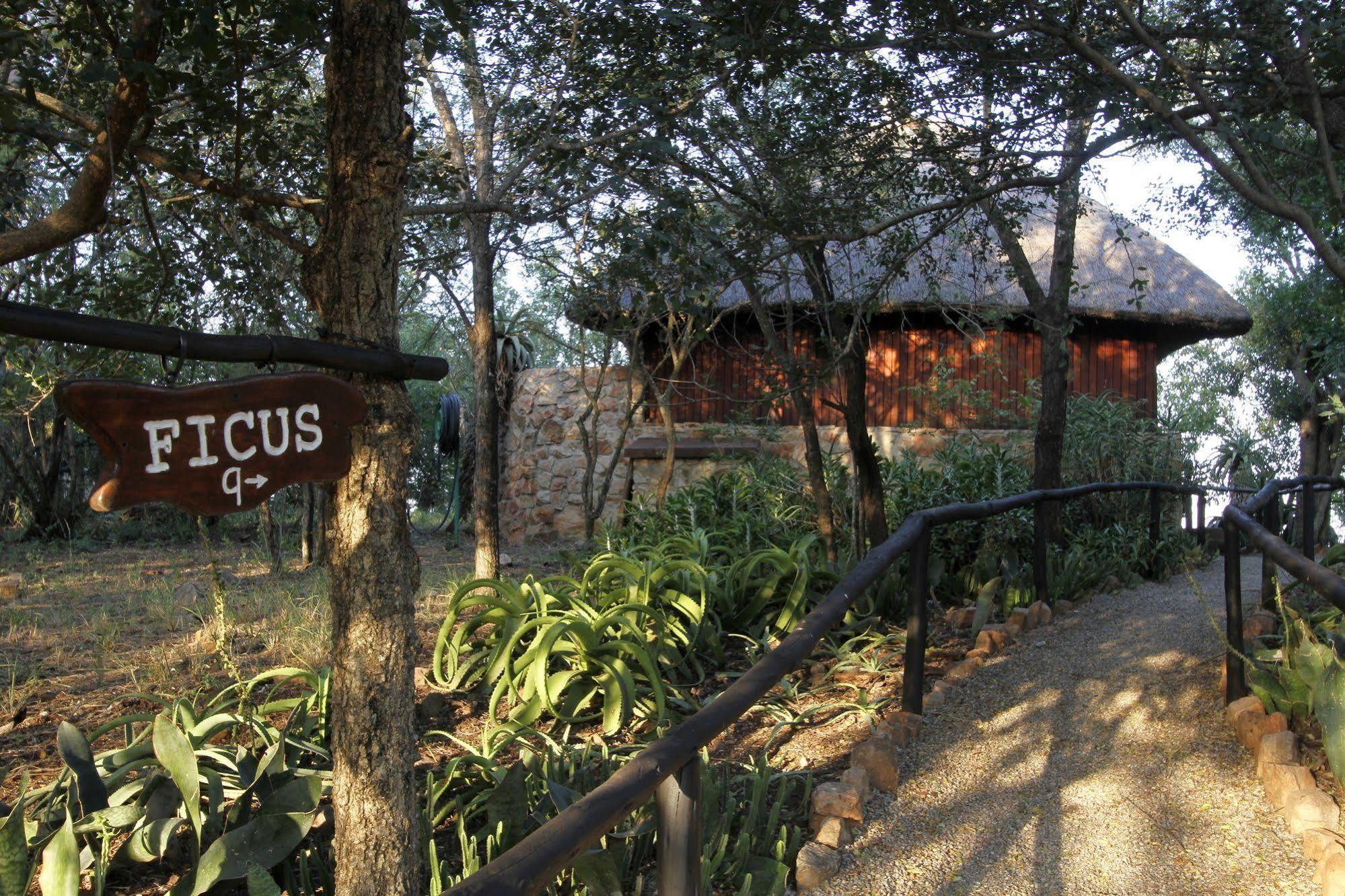 Shayamoya Tiger Fishing And Game Lodge Pongola Bagian luar foto